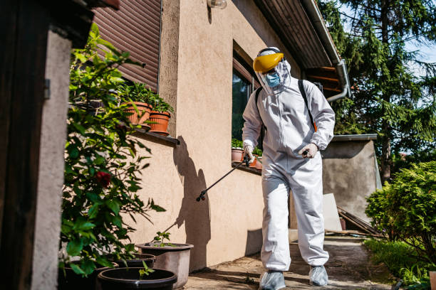 Best Pest Control Treatment  in Cottleville, MO