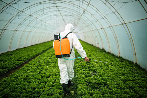 Best Pest Removal Services  in Cottleville, MO