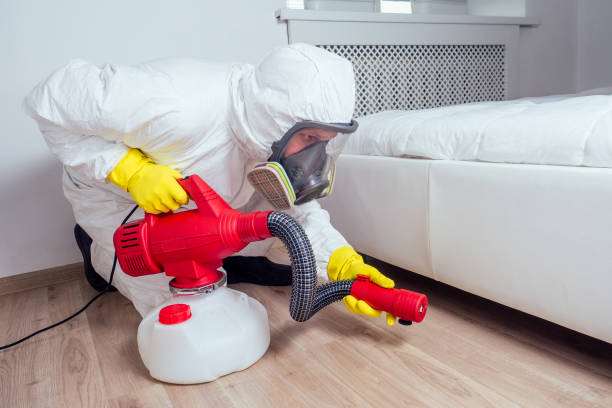 Best Termite Control Services  in Cottleville, MO